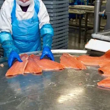 Шоковая заморозка, низькотемпературні камери для переробки риби Житомир - зображення 2