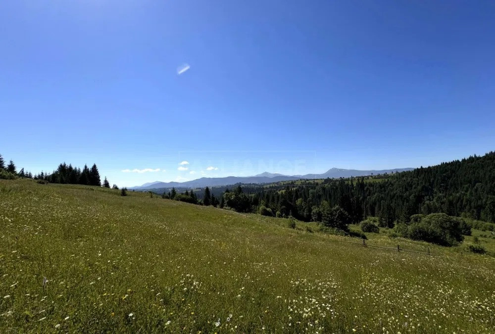 Продається мальовнича земельна ділянка у селі Яблуниця Яремче - зображення 1