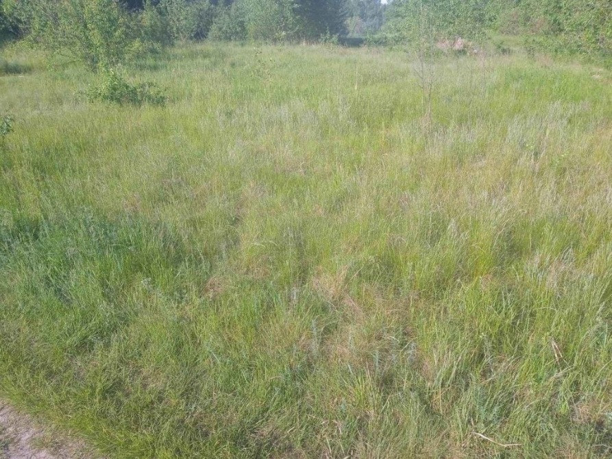 Продаю незавершене будівництво пром будівлі, ділянка 1, 5 га, Свалява Свалява - зображення 3