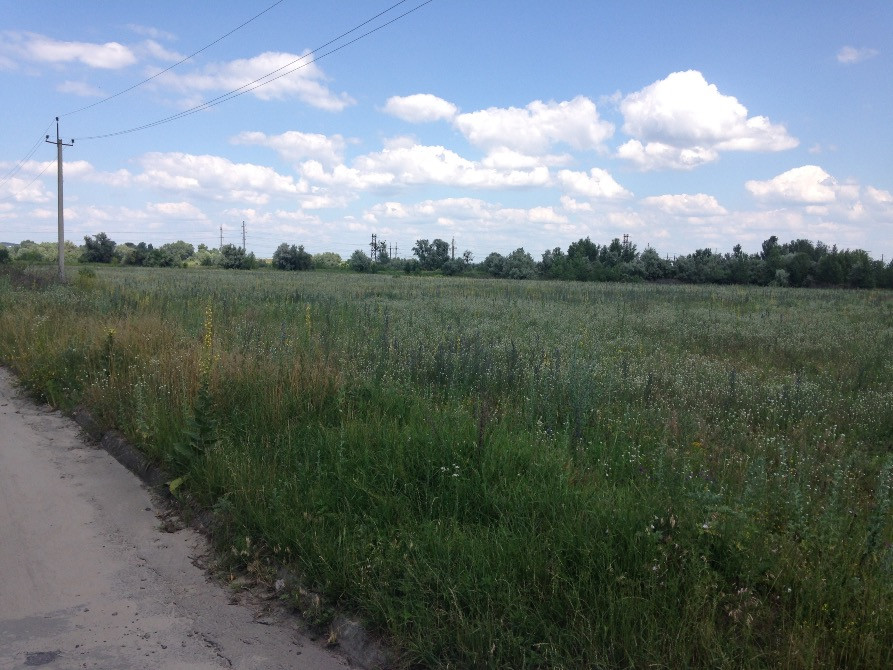 Продам земельну ділянку під тепличне господарство Канів - зображення 1