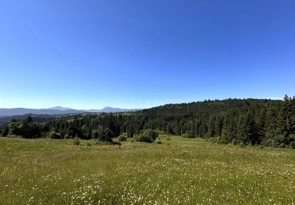 Продається мальовнича земельна ділянка у селі Яблуниця Яремче - зображення 3
