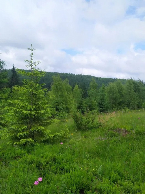 Терміново! Земельна ділянка в Карпатах Калуш - изображение 1