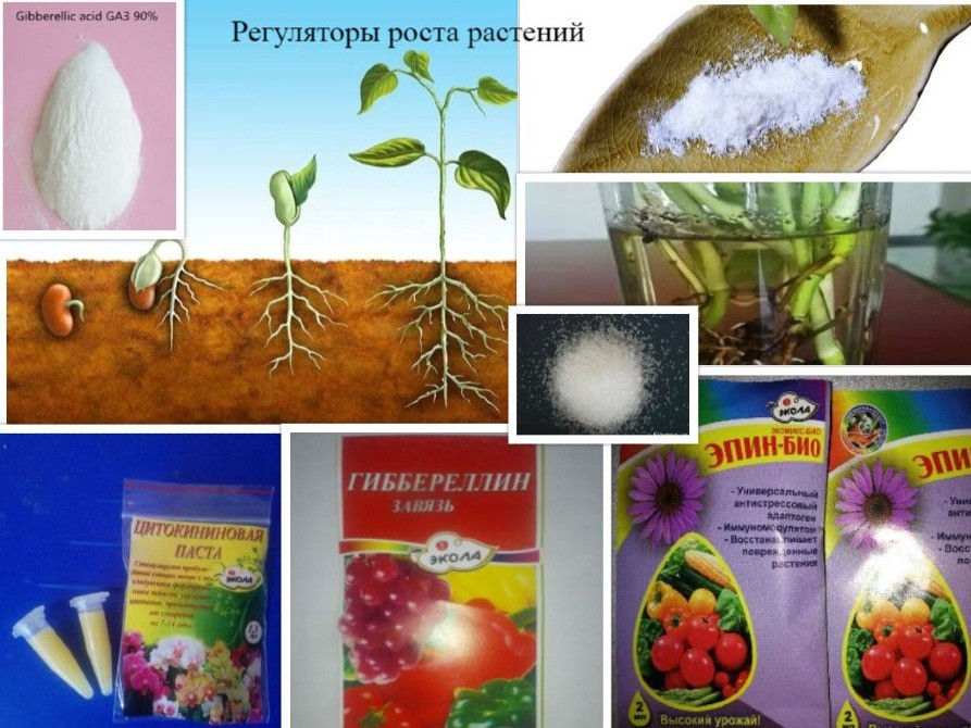 Брассинолид 0.15 Одесса - изображение 6