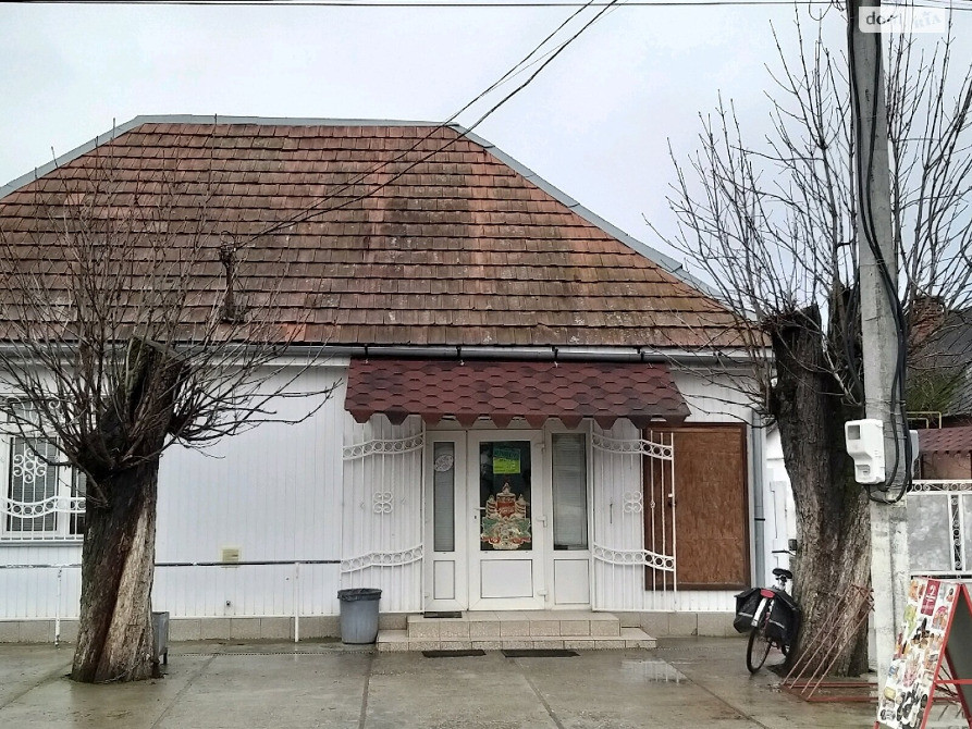 Продаж 1 поверхового будинку з верандою 99.3 кв. м селище Вилок Виноградів - зображення 1