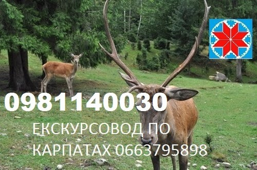 Екскурсії карпатами, одноденні тури екскурсії яремче, екскурсовод, гід Яремче - зображення 8
