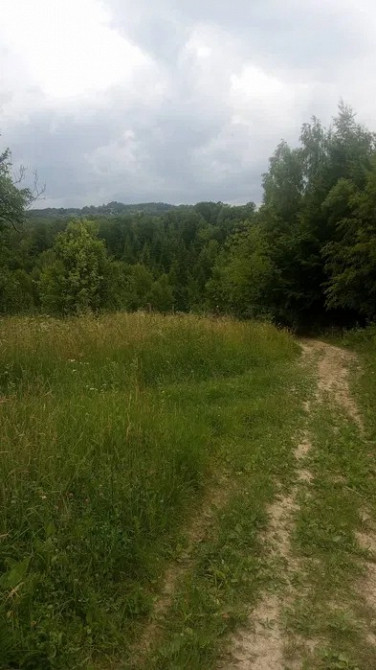 Земельна ділянка 44 сотки під лісом біля парку «Гуцульщина» Косів - зображення 5