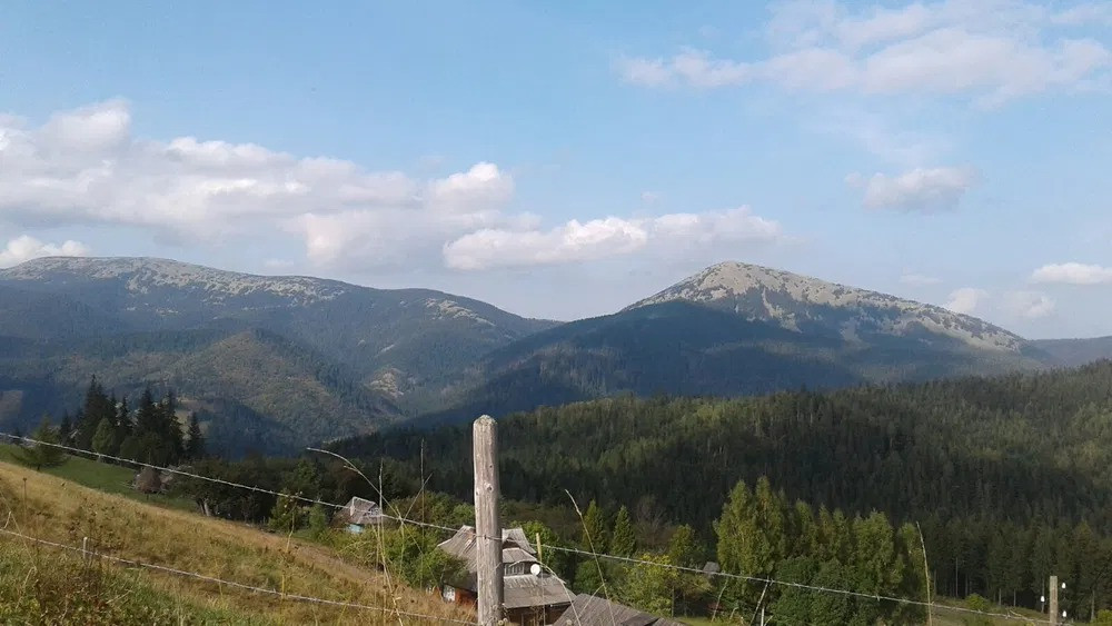 Продам земельну ділянку Яблуниця Яремче - зображення 5