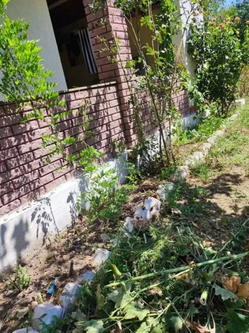 Дом дача очень классная Овідіополь - зображення 6