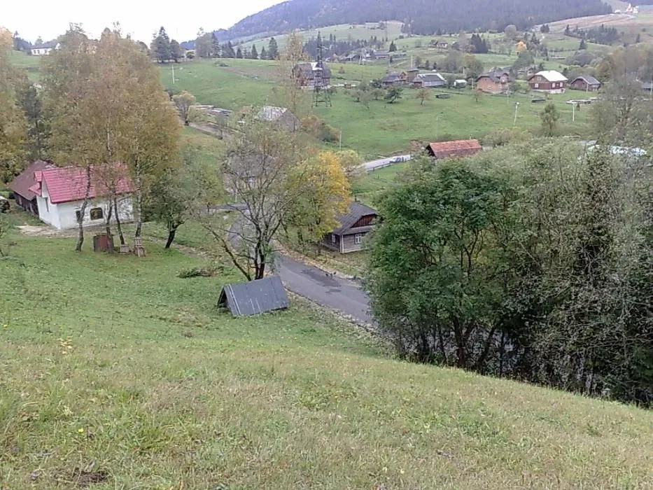 Земля в Карпатах поруч із гірськолижним комплексом «Плай», с. Плав’є Сколе - зображення 3