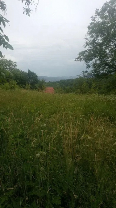 Земельна ділянка 44 сотки під лісом біля парку «Гуцульщина» Косів - зображення 4