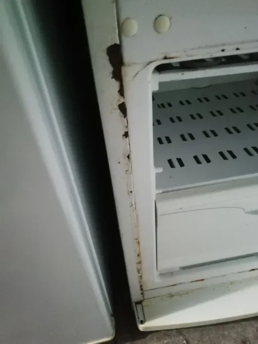 Продам Холодильник Чорнобай - зображення 4