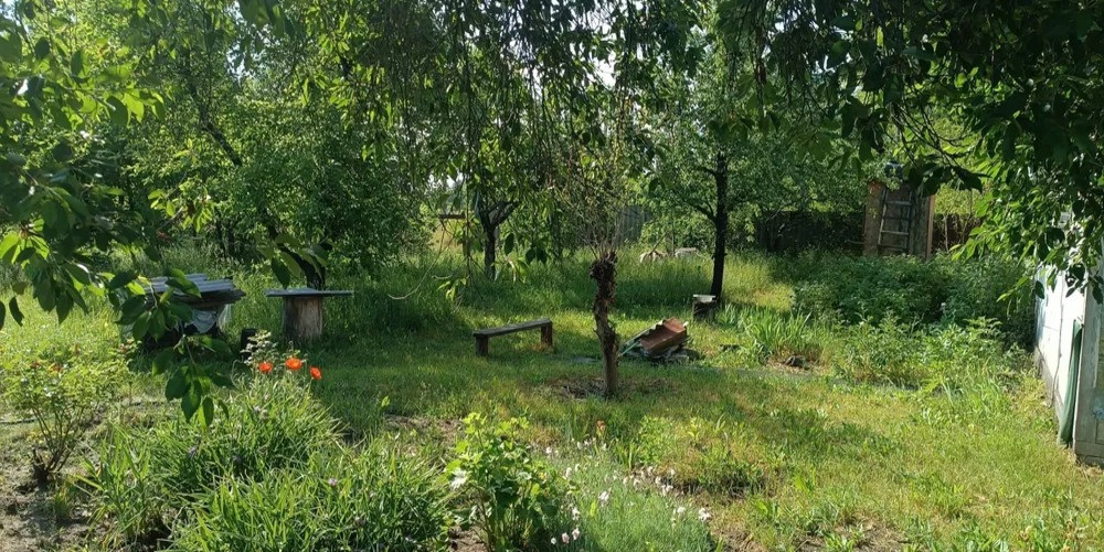 Продається будинок із великою земельною ділянкою в мальовничому місці Макаров - изображение 10