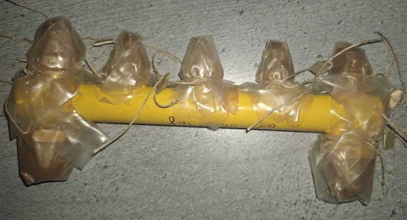 Колектор 8Ат.6100.100 Суми - зображення 1