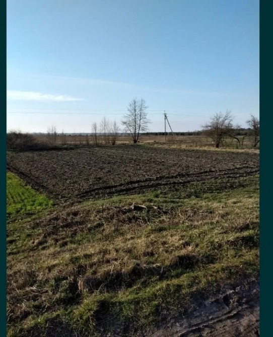 Земельна ділянка під забудову с.Кринички Ровно - изображение 1