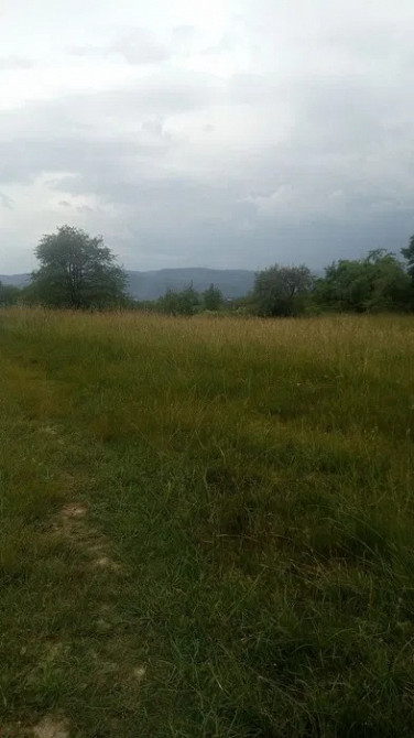 Земельна ділянка 44 сотки під лісом біля парку «Гуцульщина» Косів - зображення 1