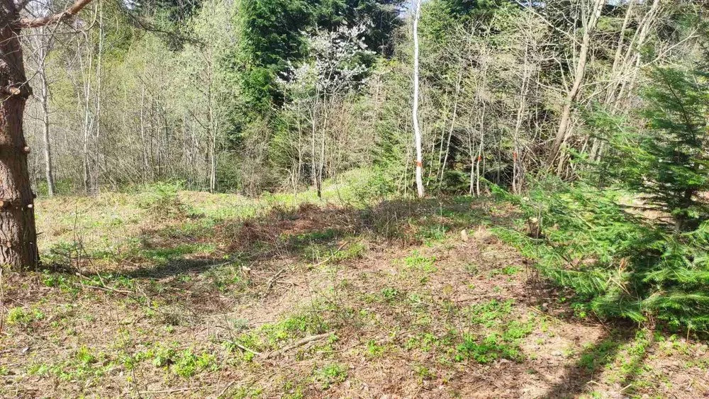 Продам земельну ділянку в м. Східниця під забудову — 9 сотих Борислав - изображение 7