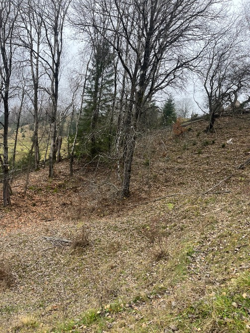 продається будинок з господарством Ивано-Франковск - изображение 10