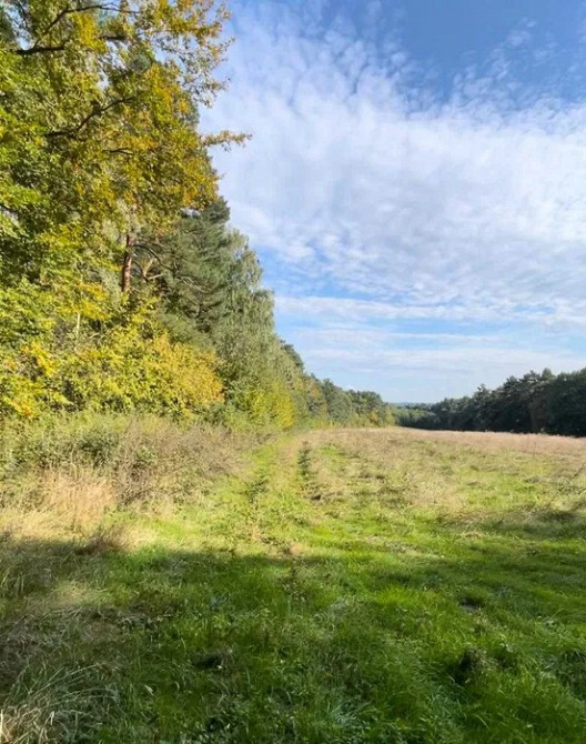 Земельна ділянка 1, 2 Га поруч з Брюховичами Львов - изображение 10