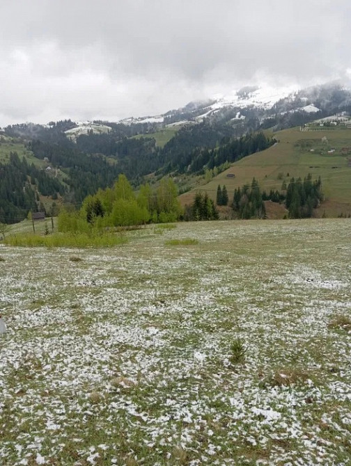 Продаж ділянки 94 сотки у Верховині, краєвид, комунікації Ивано-Франковск - изображение 1