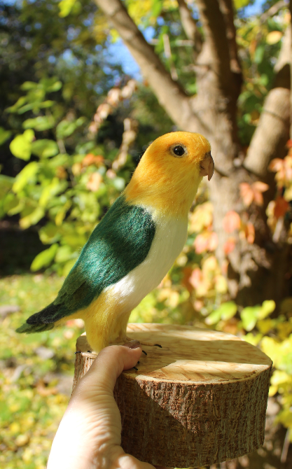 Попугай Каик іграшка валяна з шерсті войлочний папуга ручної роботи п Одеса - зображення 3