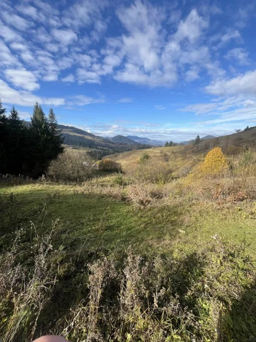 Земля в Карпатах Івано-Франківськ - зображення 5