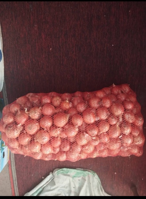 Продам цибулю Київ - зображення 1