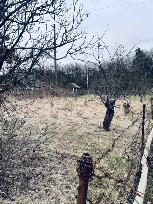 Продається дачна ділянка, 5, 5 соток, СТ "Хімік Новояворівськ - зображення 4