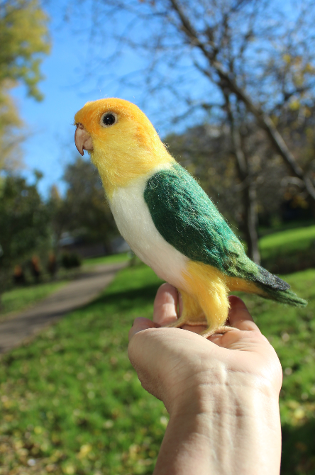 Попугай Каик іграшка валяна з шерсті войлочний папуга ручної роботи п Одеса - зображення 4