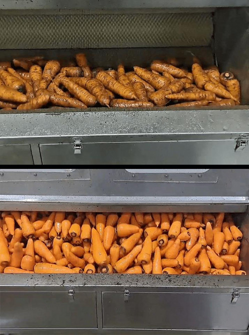 Машина для миття та очищення овочів STvega H1200 Київ - зображення 8