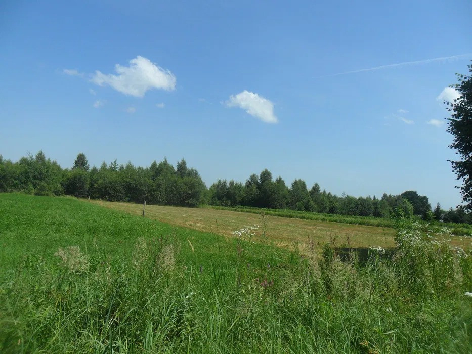 Земельна ділянка 10 сотих у смт Берегомет біля річки та лісу Берегомет - изображение 2