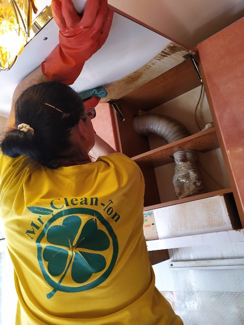 Профессиональный клининг. Уборка. Мойка окон. Химчистка мягкой мебели Одеса - зображення 3