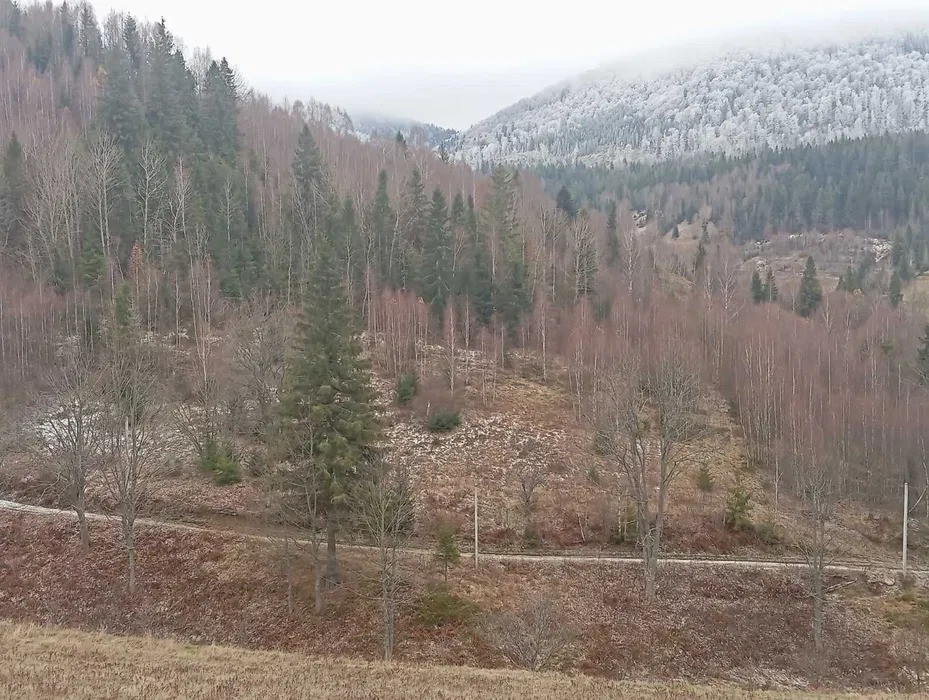 Продається земельна ділянка село Ялинкувате Стрий - зображення 1