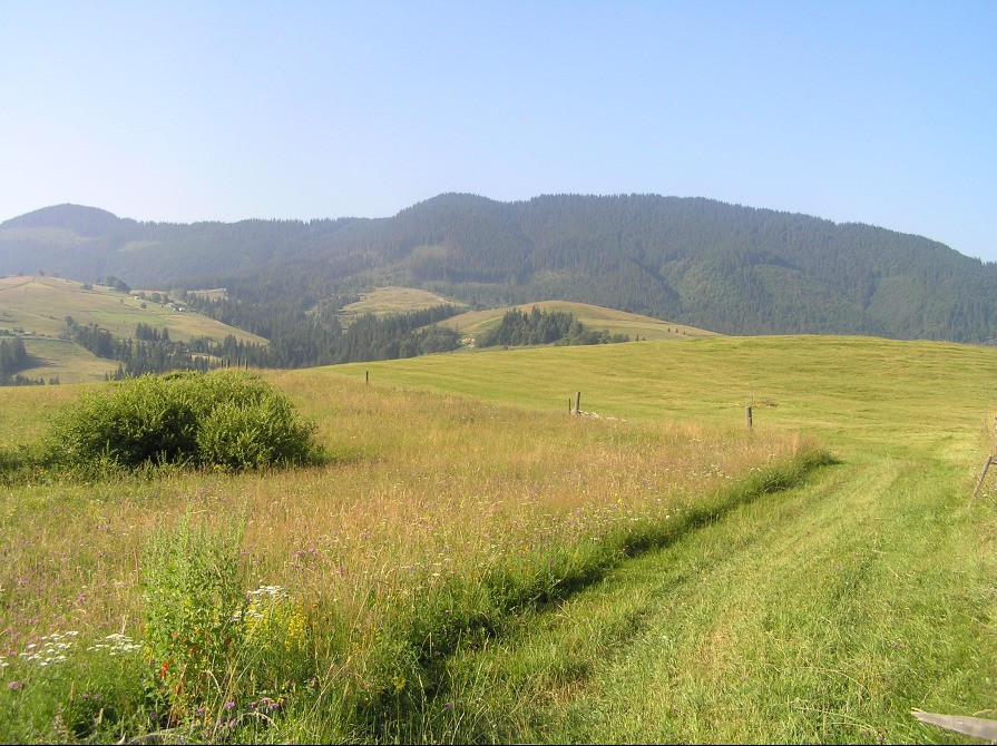 Земля в Карпатапх Ивано-Франковск - изображение 1