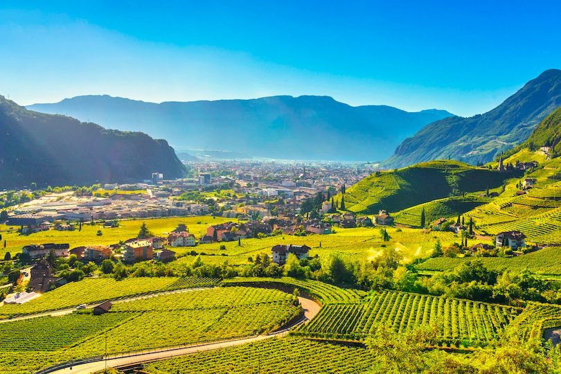 Помогу в принятии правильного решения по бизнесу, работе, профессии Київ - зображення 1