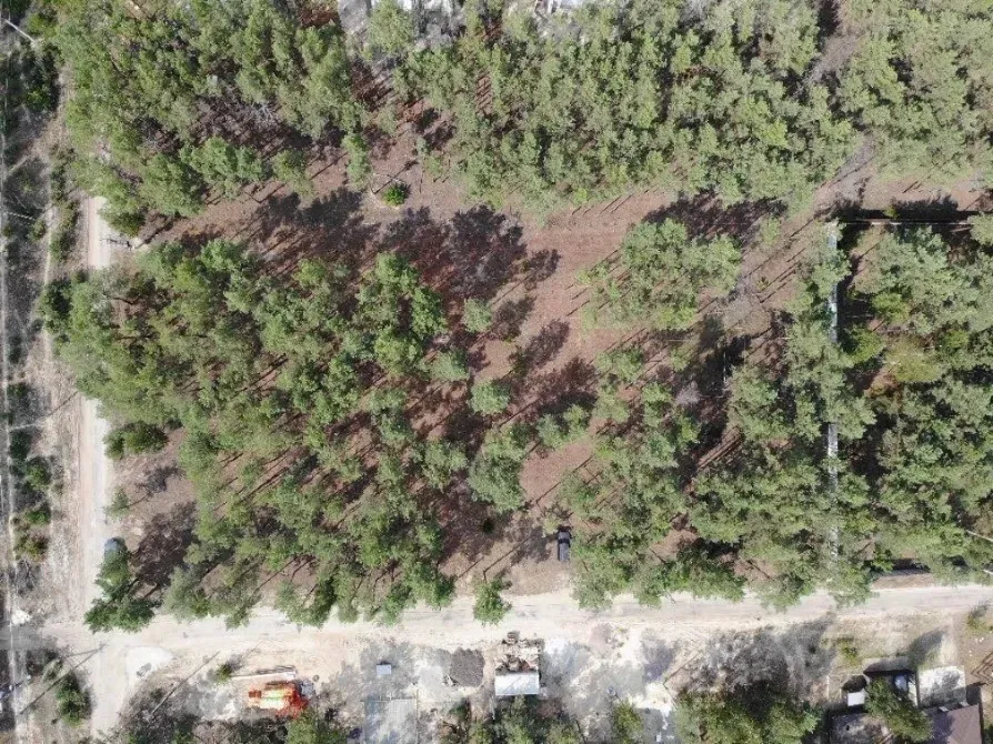 Ділянка під будівництво 34 сотки з лісом Вишгород - зображення 9