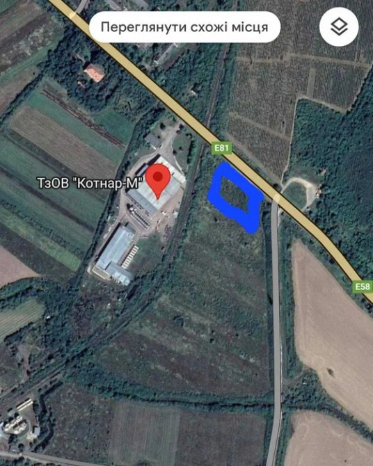 Продам земельну ділянку 0, 5 га Берегове - зображення 1