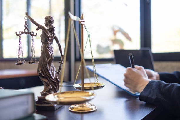 Юридична допомога у справах окремого провадження Київ - зображення 3