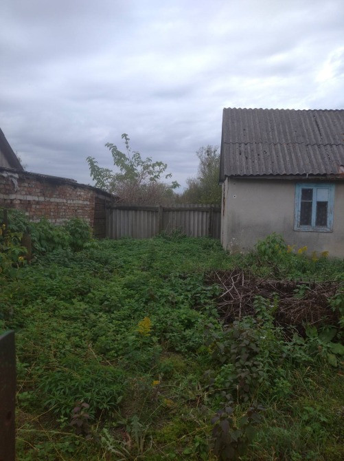 Терміново Радивилів - зображення 7