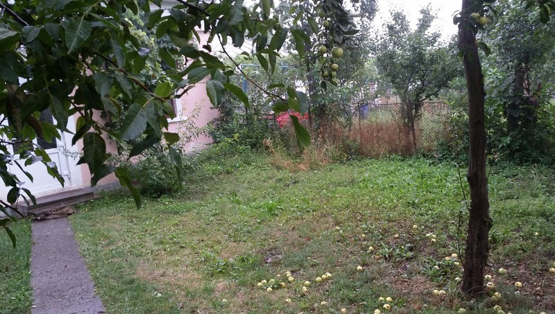 Продаж квартири (1/2 особняка) м. Снятин, вул. Черемшини 6 Снятин - зображення 6