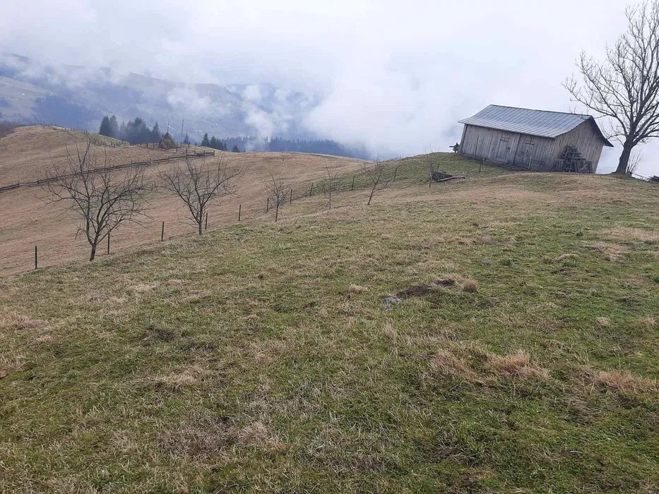 Продається земельна ділянка під будівництво с.Голови Ивано-Франковск - изображение 5
