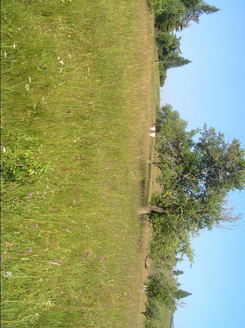 Земля в Карпатапх Ивано-Франковск - изображение 3