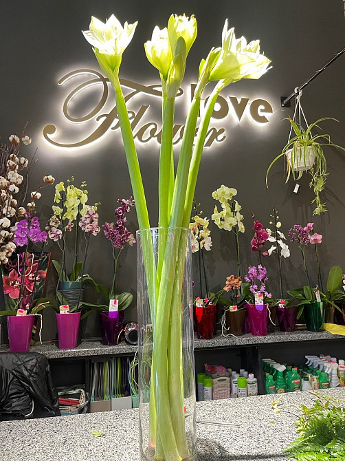 Купити, замовити квіти, букет Доставка Поділ Київ від Flower Love Київ - зображення 2