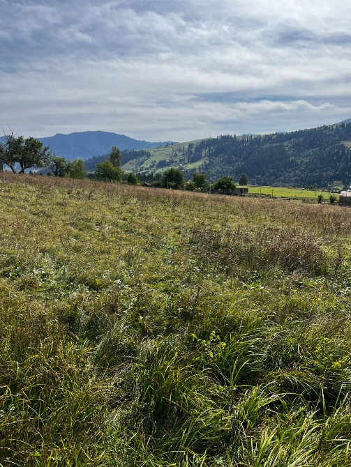 Продаж земельної ділянки 80 соток у Карпатах – с. Ільці, Верховинський Ивано-Франковск - изображение 1
