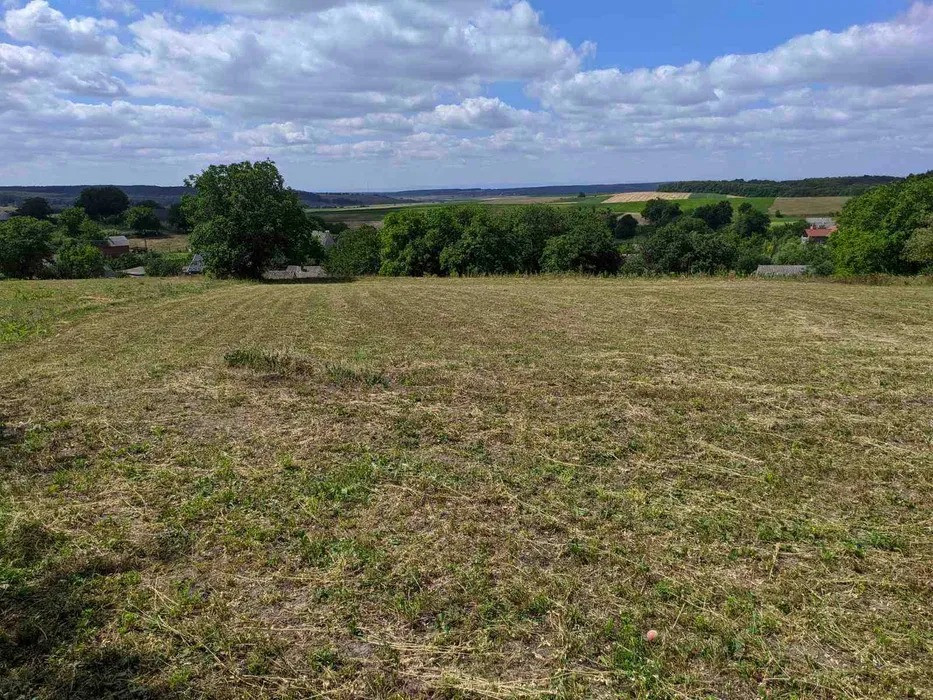 Продається приватизована земельна ділянка 0, 25 га в с. Куликівка Черновцы - изображение 3