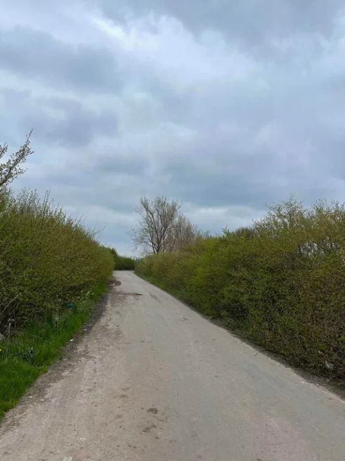 Продається земельна ділянка 20 сот.Городоцька Отг Городок - изображение 3