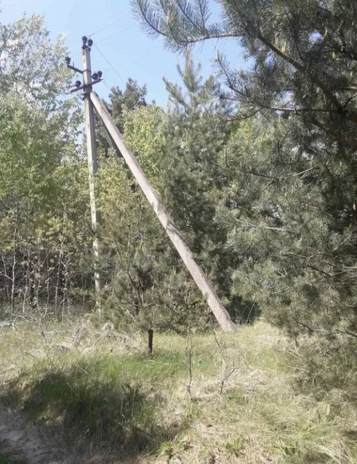 Земельна ділянка біля лісу, с.Козулька, Львівський р-н Жолква - изображение 2
