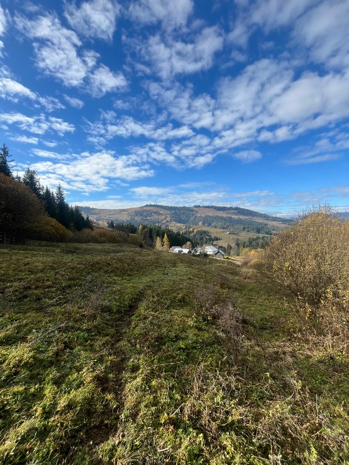 продається земельна ділянка Ивано-Франковск - изображение 4