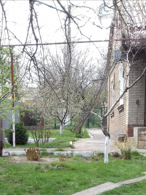 Продам будинок в м. Запоріжжя Запоріжжя - зображення 2