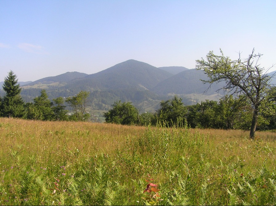 Продаж землі в Карпатах Івано-Франківськ - зображення 4