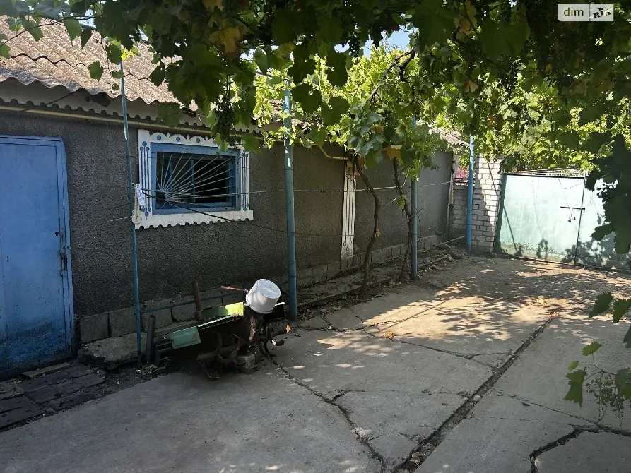 Приватний будинок в с. Шевченко, Миколаївської області Миколаїв - зображення 4